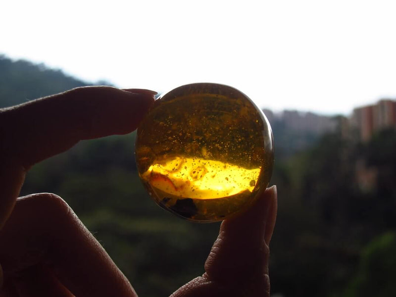 Exploring the Dazzling Colours of Amber - A Comprehensive Guide